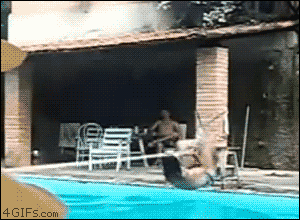 Acid GIFs, September 2 (25 gifs)