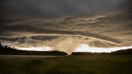 Acid GIFs, September 2 (25 gifs)