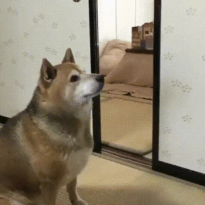 Acid GIFs, September 5 (25 gifs)