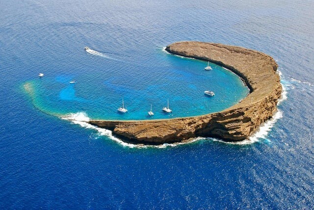Unusual Finds And Places (15 pics)