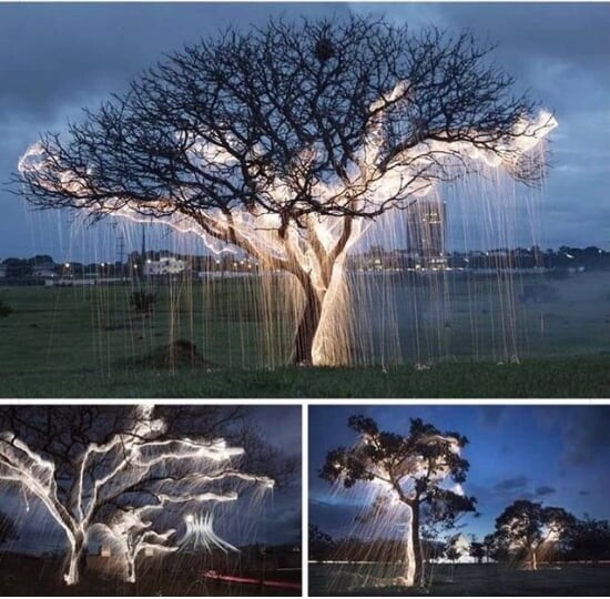 Unusual Finds And Places (15 pics)