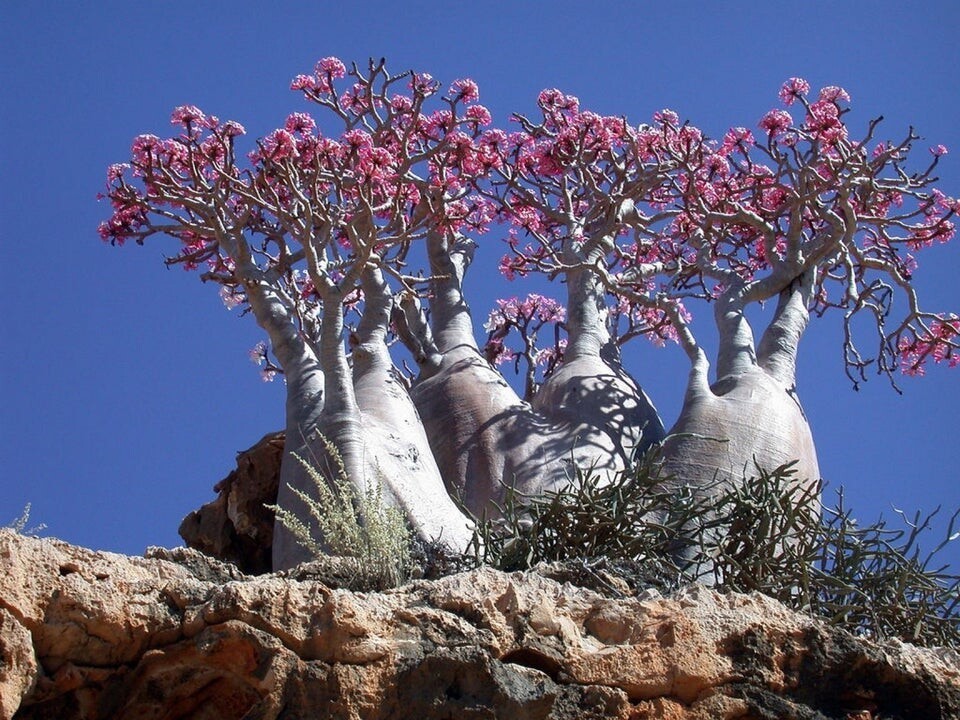 Unusual Finds And Places (15 pics)
