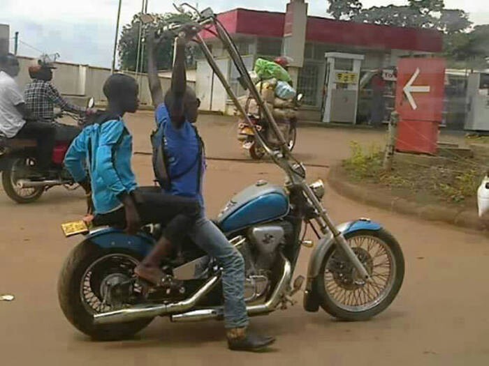 What Is Going On Here? (15 pics)