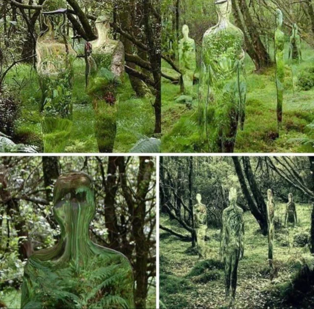 Unusual Finds And Places (15 pics)