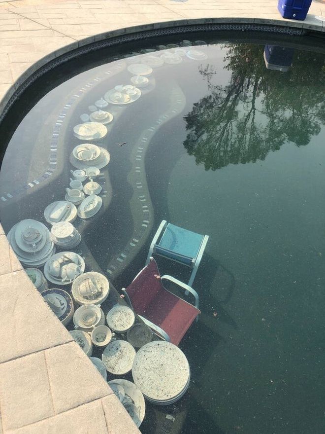 What Is Going On Here? (15 pics)