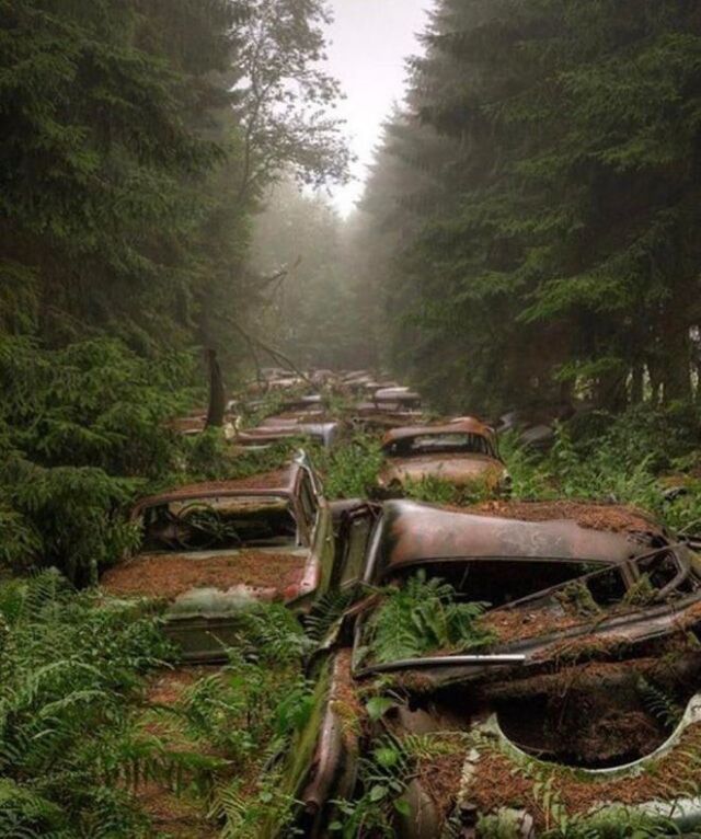 Unusual Finds And Places (15 pics)