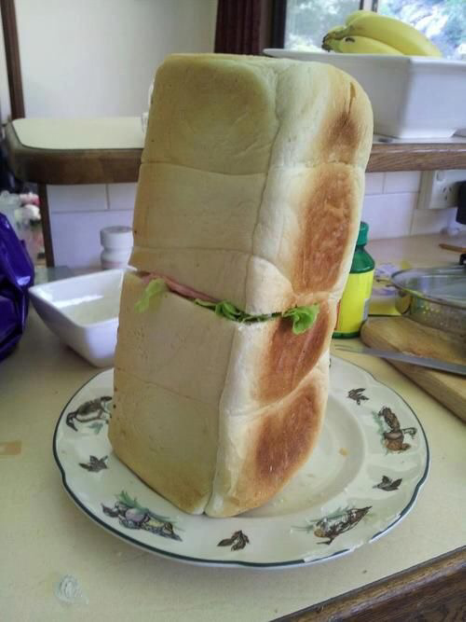 What Is Going On Here? (15 pics)