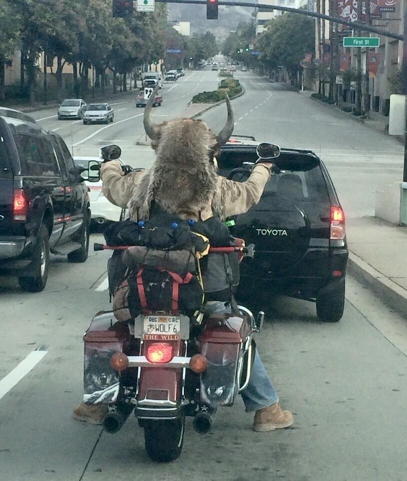 What Is Going On Here? (15 pics)