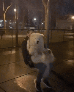 Acid GIFs, September 6 (25 gifs)