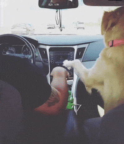 Acid GIFs, September 6 (25 gifs)