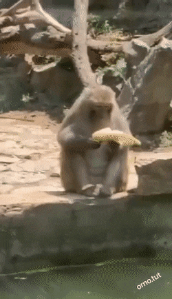 Acid GIFs, September 6 (25 gifs)