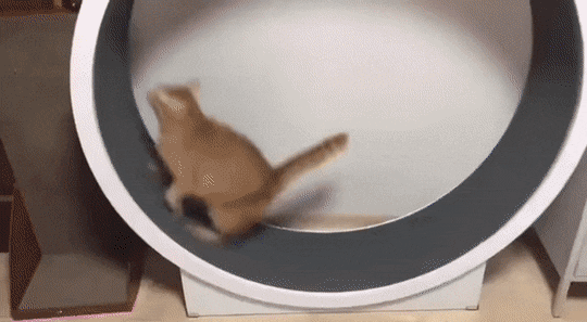 Acid GIFs, September 6 (25 gifs)