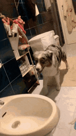 Acid GIFs, September 6 (25 gifs)