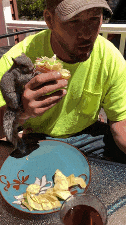 Acid GIFs, September 6 (25 gifs)