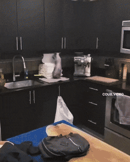 Acid GIFs, September 6 (25 gifs)