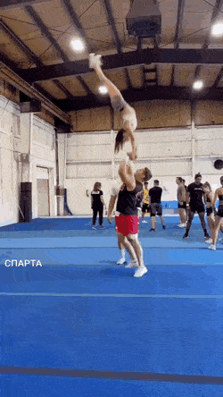Acid GIFs, September 6 (25 gifs)