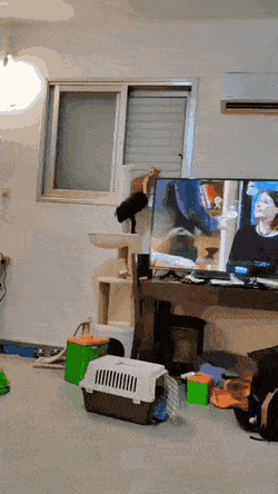 Acid GIFs, September 6 (25 gifs)