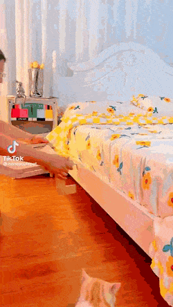 Acid GIFs, September 7 (25 gifs)