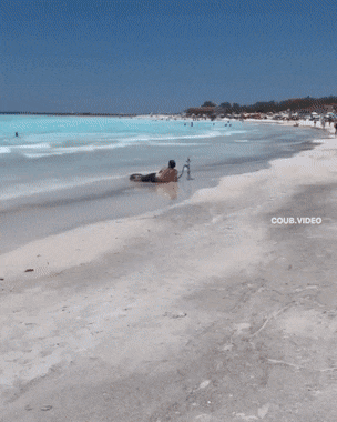 Acid GIFs, September 7 (25 gifs)