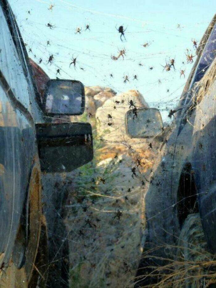 Unusual Finds And Situations (19 pics)