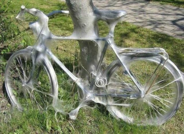 Unusual Finds And Situations (19 pics)