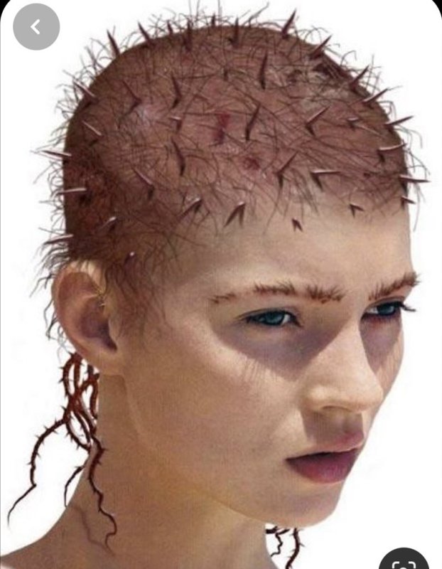 Terrible Haircuts (17 pics)