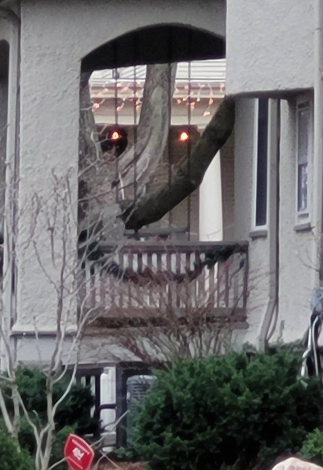 Funny Optical Illusions (17 pics)