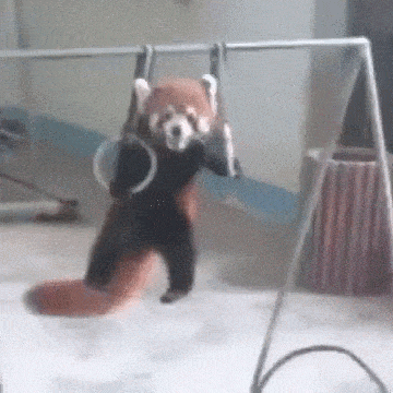 Acid GIFs, September 8 (25 gifs)