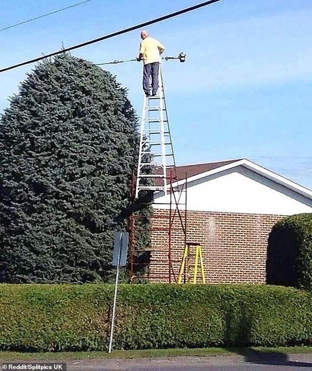 They Don't Think About Safety (20 pics)