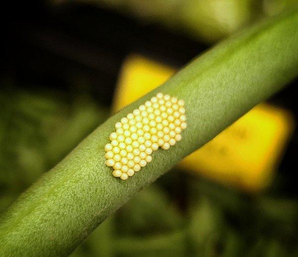 Photos For Perfectionists (19 pics)