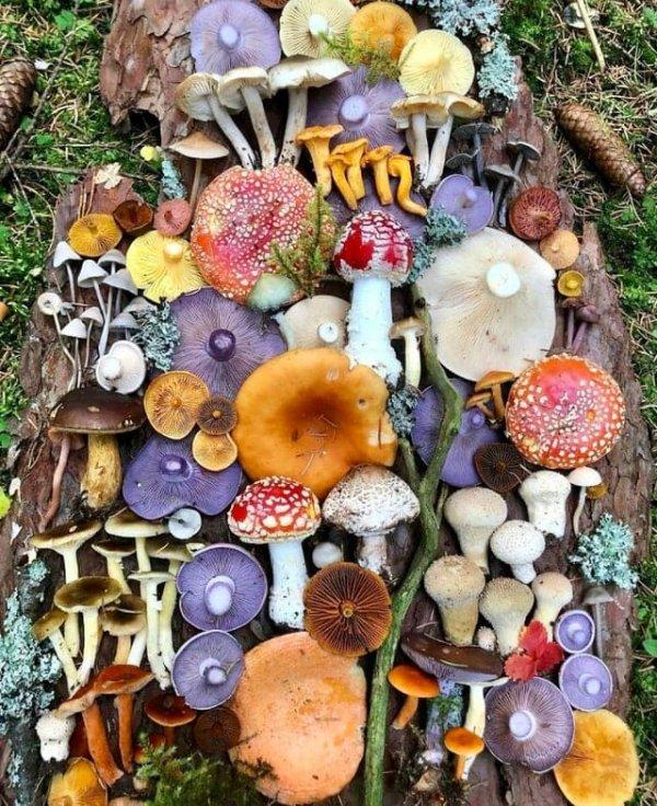 Photos For Perfectionists (19 pics)