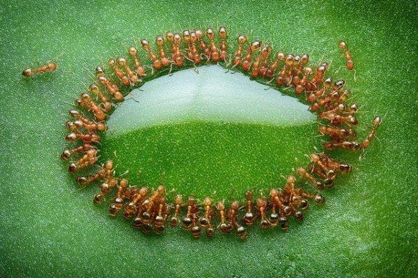 Photos For Perfectionists (19 pics)
