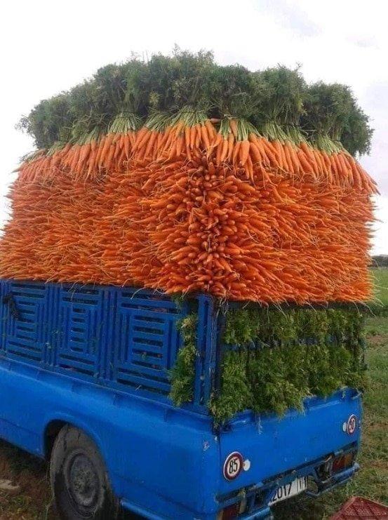 Photos For Perfectionists (19 pics)
