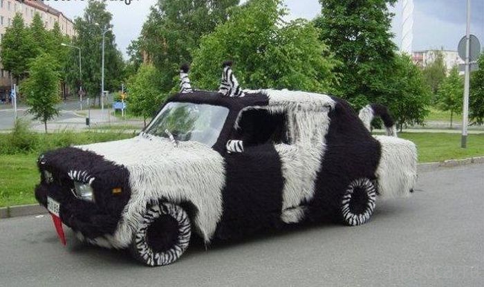 Crazy Cars (20 pics)