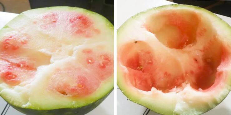 Weird Food (15 pics)