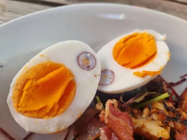 Weird Food (15 pics)