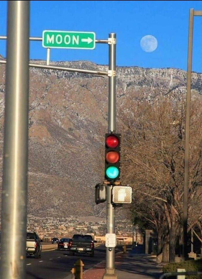 Unusual Finds And Situations (20 pics)