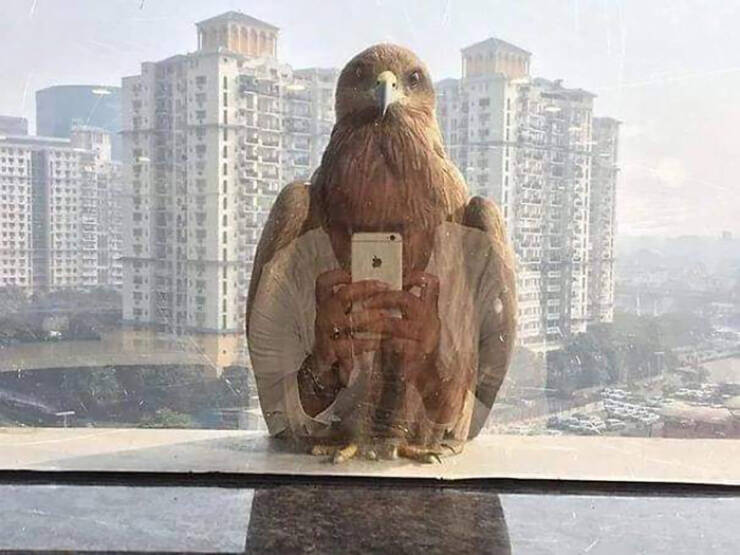 Unusual Finds And Situations (20 pics)