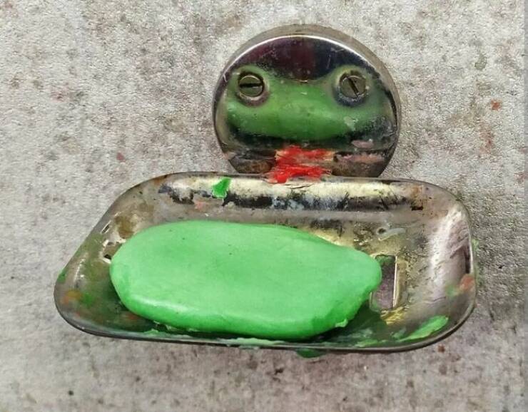Unusual Finds And Situations (20 pics)
