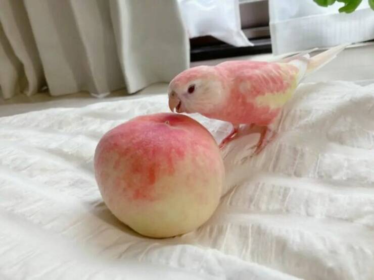 Unusual Finds And Situations (20 pics)