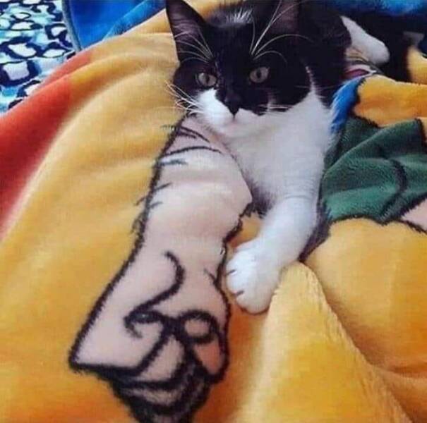 Unusual Finds And Situations (20 pics)