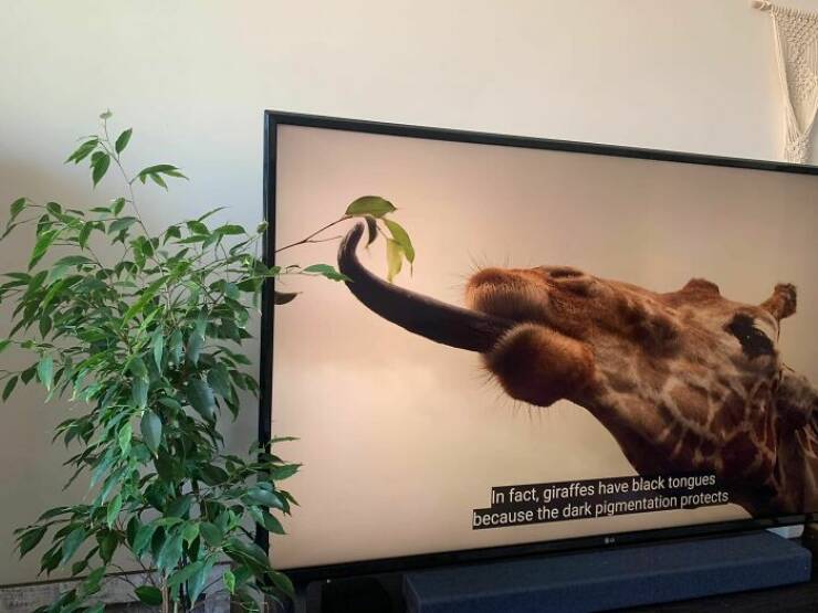 Unusual Finds And Situations (20 pics)