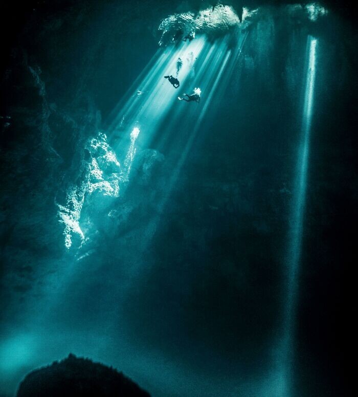 Amazing Underwater Photos (20 pics)
