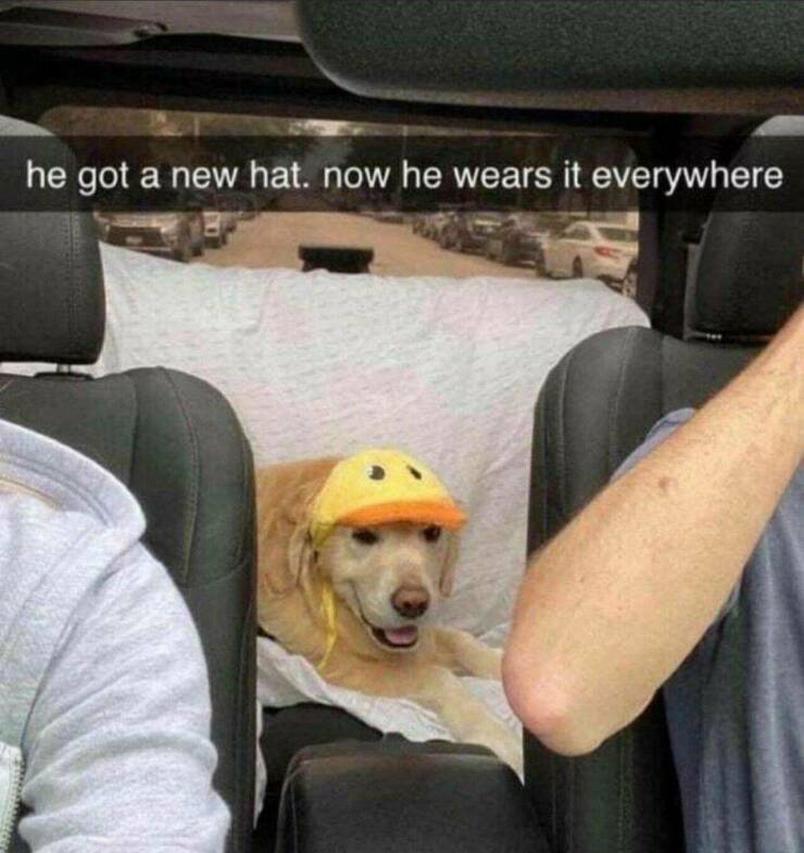 Daily Pictures. Part 1 (63 pics)