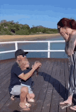 Acid GIFs, September 13 (25 gifs)