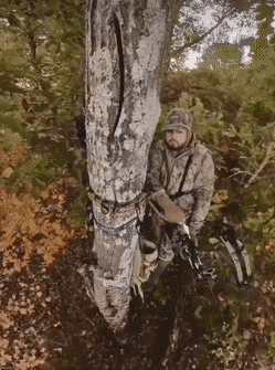Acid GIFs, September 13 (25 gifs)