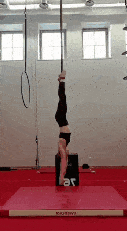 Acid GIFs, September 13 (25 gifs)