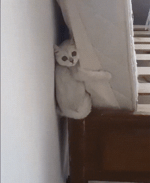 Acid GIFs, September 13 (25 gifs)