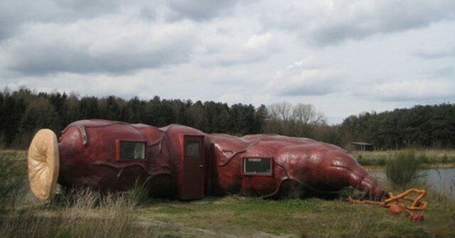 Odd Constructions (15 pics)