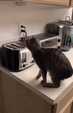 Acid GIFs, September 14 (25 gifs)